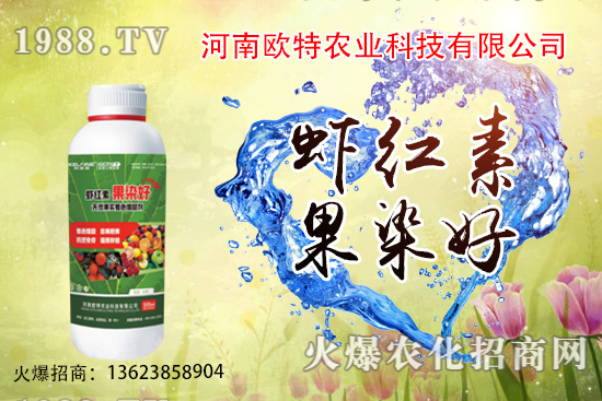  草莓苗品種如何選擇，怎么提高草莓苗種植成活率？