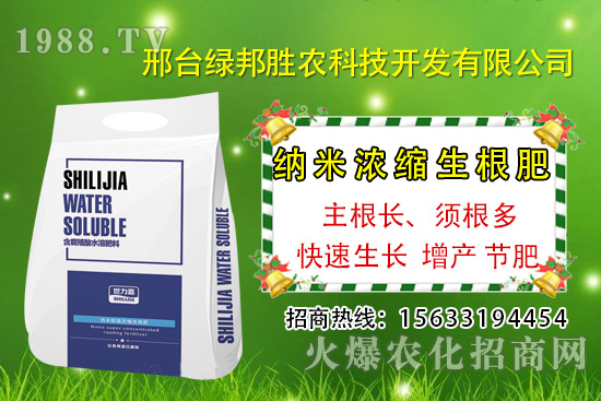 番茄死棵究竟哪些原因所致，如何預(yù)防番茄死棵發(fā)生？