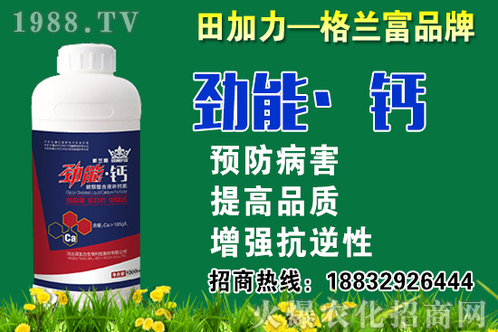 2020秋蘿卜什么時候種？秋蘿卜種植要注意哪些問題？