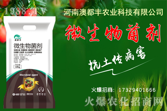 玉米穗期發(fā)育特點有哪些？玉米穗期田間管理要點！