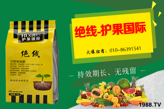 棉花為什么要打頂呢？有哪些好處？棉花打頂田間管理建議！