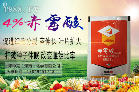 魔芋種植要點(diǎn)有哪些？魔芋市場價(jià)格及種植前景分析！