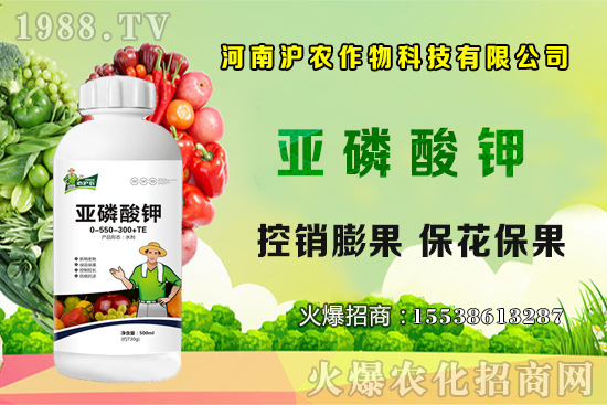 大蔥育苗要點(diǎn)你知道嗎？大蔥常見病蟲害有哪些？如何防治？