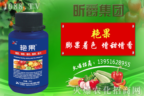 獼猴桃生長(zhǎng)需要哪些元素？八月獼猴桃管理技術(shù)！