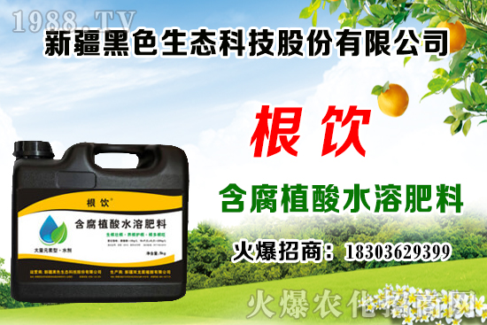 立秋后露地大白菜播種時(shí)間，管理需注意什么問題？