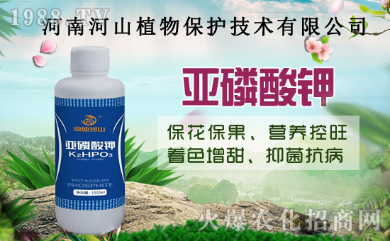 小麥政策加碼！扎堆賣糧！2020年8月14日小麥價(jià)格行情！