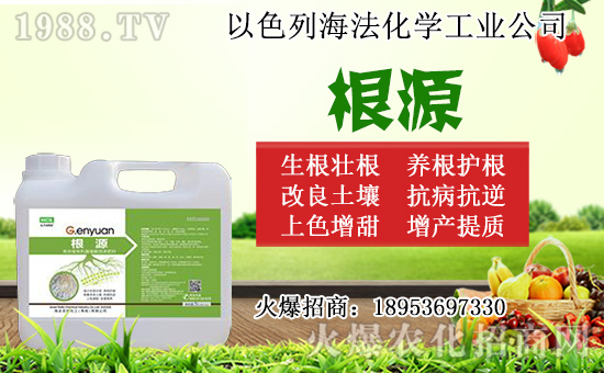 無花果怎么扦插？無花果扦插時間及扦插繁殖方法！