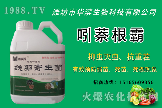 無花果種植什么品種較好？無花果皮可以吃嗎？種植前景怎樣？