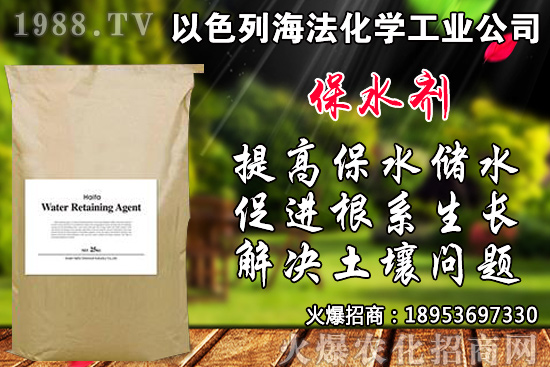 芹菜如何種植？品種如何選擇？芹菜播種時(shí)間及種植技術(shù)！