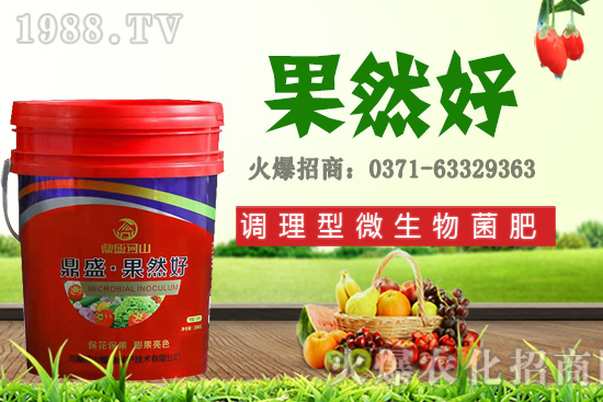 秋季適合種植哪些花卉？秋天播種六種花卉品種推薦！