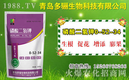 山竹作用與功效有哪些？如何挑選山竹？
