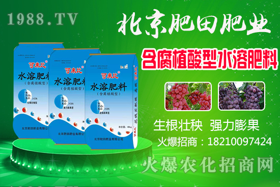 蘆柑產(chǎn)地在哪？蘆柑什么時候上市？如何挑選蘆柑？