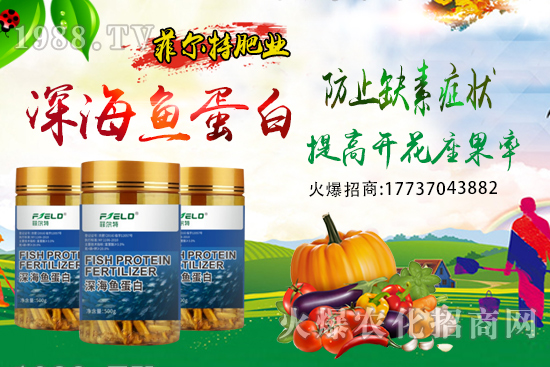 青梗菜種植時(shí)間，青梗菜栽培及管理關(guān)鍵要點(diǎn)！