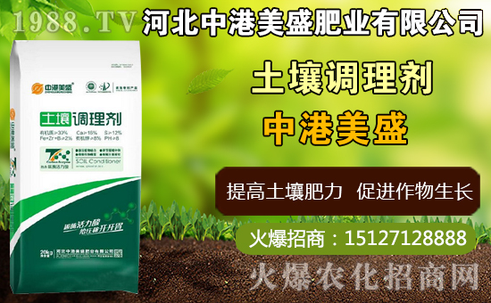 中藥太子參什么時間種植，太子參什么時候收獲更好（附種植技術(shù)）