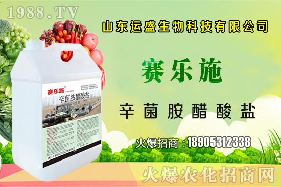 大棚杏樹(shù)的授粉方法，大棚杏樹(shù)如何多坐果？