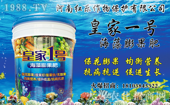 花椒產(chǎn)地主要在哪？花椒價(jià)格多少錢一斤？種植前景及效益分析！