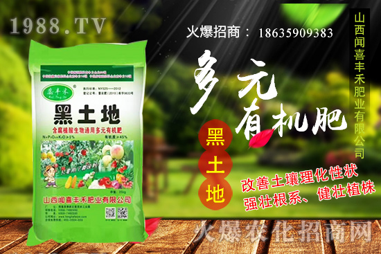 生姜如何選種，生姜什么時(shí)候種植？種植前需注意哪些問(wèn)題？