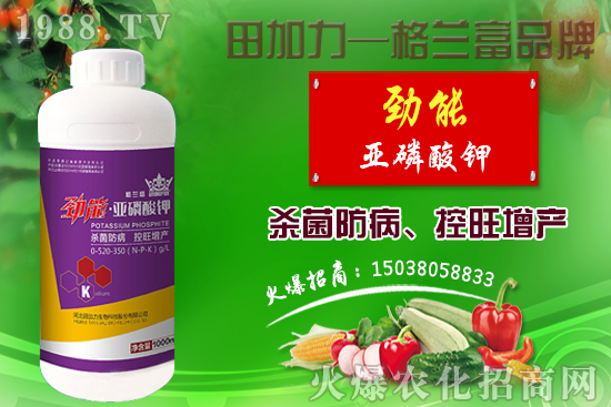 棉花如何做到合理施肥？棉花需肥特性及施肥原則！