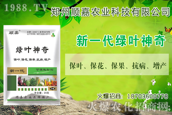 小麥價(jià)格連連上漲！現(xiàn)在一斤多少錢？