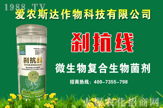 今日糧價(jià)：2020年9月11日小麥價(jià)格行情預(yù)測！