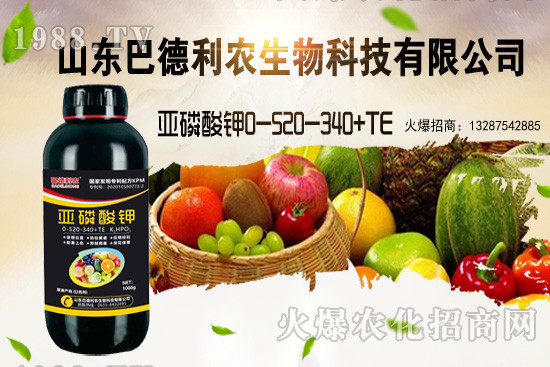 小麥價(jià)格能漲到多少錢一斤？部分地區(qū)價(jià)格行情！