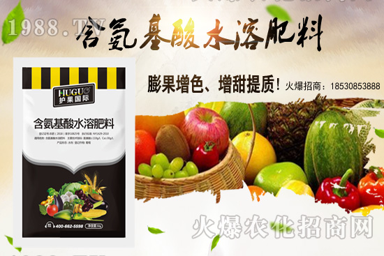 蕓豆適合在什么季節(jié)栽培？蕓豆如何進行種植？