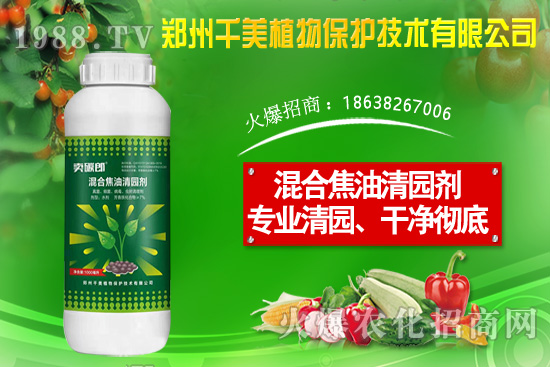 金錢草種子怎么種？金錢草種植方法介紹！