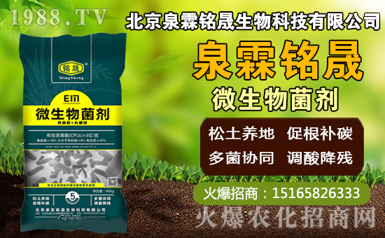 芒果什么時間種植，芒果種植方法及控水時期！