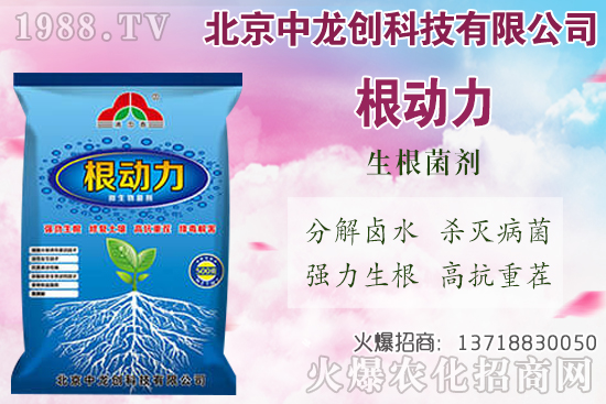 白蘿卜的需肥特性有哪些，白蘿卜施肥技術(shù)要點(diǎn)！