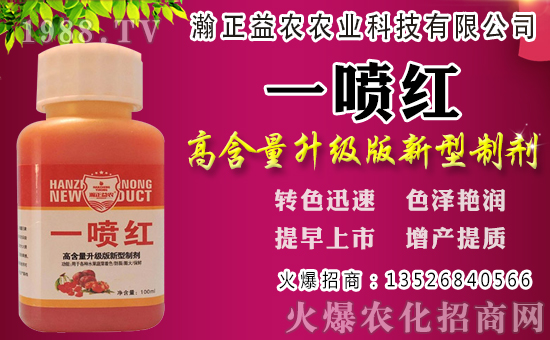 白蘿卜初秋種植還是深秋？白蘿卜種植時間和管理！