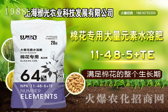 甜椒什么時候種植，甜椒栽培技術(shù)要點！