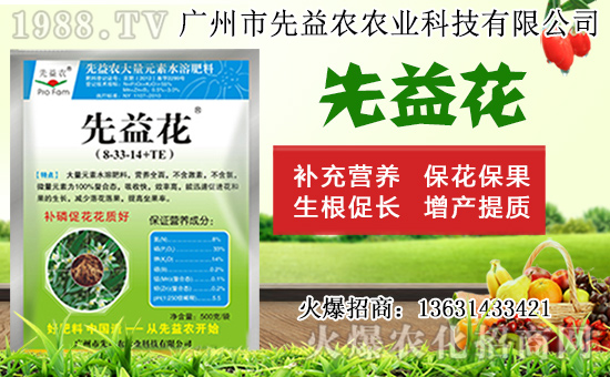 水仙花形態(tài)特征及生長習(xí)性，水仙花栽培方法！