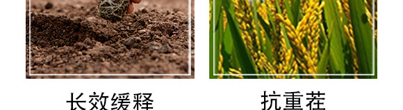 �������16-9-25-�и���ʢ_05