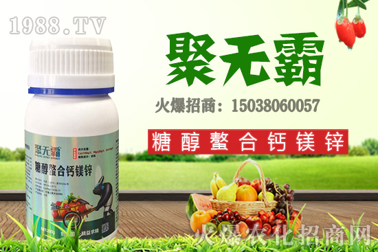 沙糖桔苗多少錢一棵？沙糖桔什么時(shí)候結(jié)果？栽培要點(diǎn)有哪些？