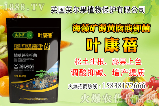 怎么判斷玉米含水量？玉米籽粒含水量感官判定經(jīng)驗！