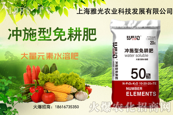 白菜一畝地需要多少肥料，白菜施肥過(guò)后需立即澆水嗎？