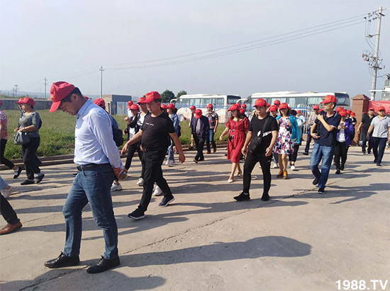 水溶肥市場(chǎng)大變革??？海藻精、魚(yú)蛋白將被它代替！1000多用戶(hù)鼎力推薦！