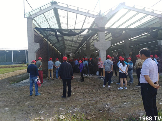 水溶肥市場(chǎng)大變革?。亢Ｔ寰?、魚(yú)蛋白將被它代替！1000多用戶(hù)鼎力推薦！