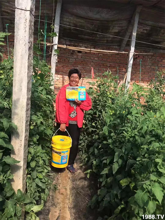 水溶肥市場(chǎng)大變革??？海藻精、魚(yú)蛋白將被它代替！1000多用戶(hù)鼎力推薦！