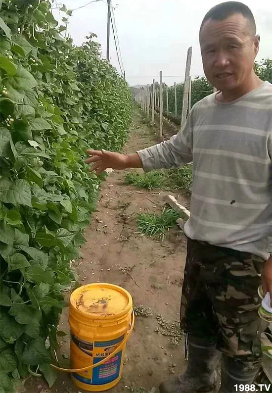 水溶肥市場(chǎng)大變革??？海藻精、魚(yú)蛋白將被它代替！1000多用戶(hù)鼎力推薦！