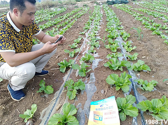 水溶肥市場(chǎng)大變革?。亢Ｔ寰?、魚(yú)蛋白將被它代替！1000多用戶(hù)鼎力推薦！