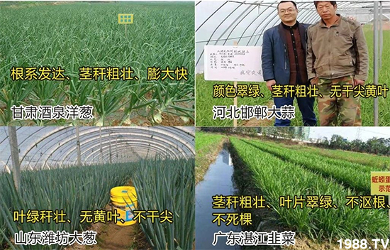 水溶肥市場(chǎng)大變革??？海藻精、魚(yú)蛋白將被它代替！1000多用戶(hù)鼎力推薦！