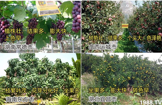 水溶肥市場(chǎng)大變革！？海藻精、魚(yú)蛋白將被它代替！1000多用戶(hù)鼎力推薦！