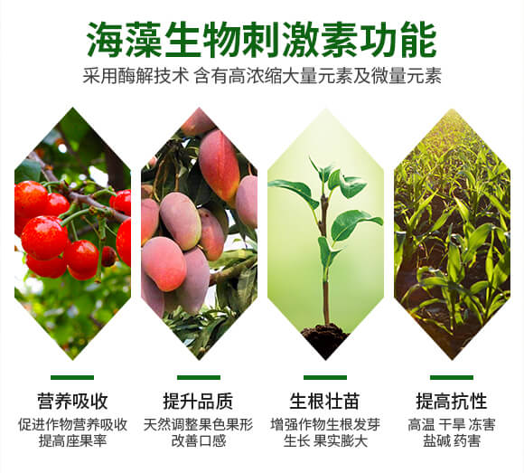 750-Ԕ���(y��)_04