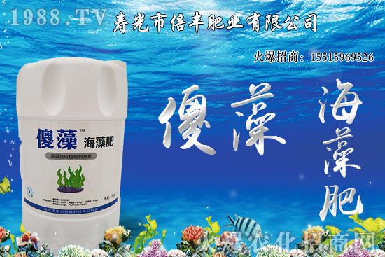 市場(chǎng)逐步回歸正?；久妫蠖箖r(jià)格沖高回落！