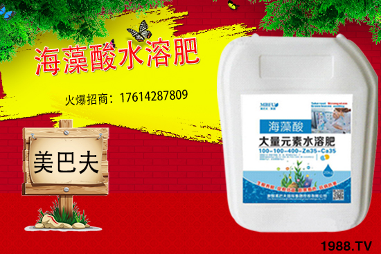 海藻肥具有哪些作用？與傳統(tǒng)肥料相比有何優(yōu)勢(shì)？