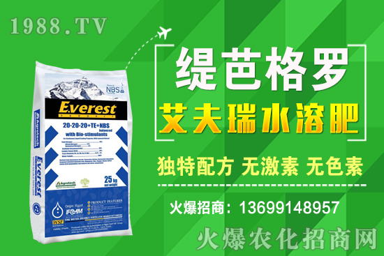 小麥價格漲了！十月小麥行情預(yù)測！