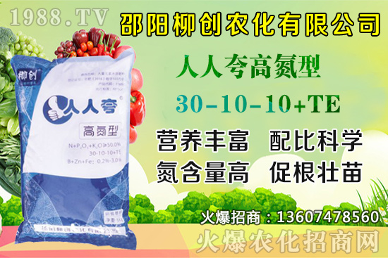 金銀花樹苗怎么種？金銀花樹苗種植技術(shù)及田間管理！