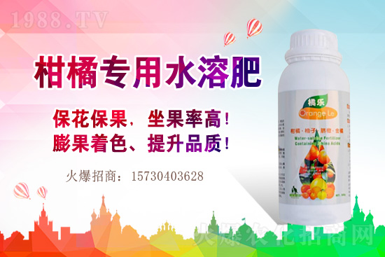 草莓的生長習性有哪些？早春大棚草莓管理技術(shù)要點！