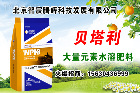 2020年種什么藥材能賺錢？種植藥材有補貼嗎？哪些藥材有種植前景？